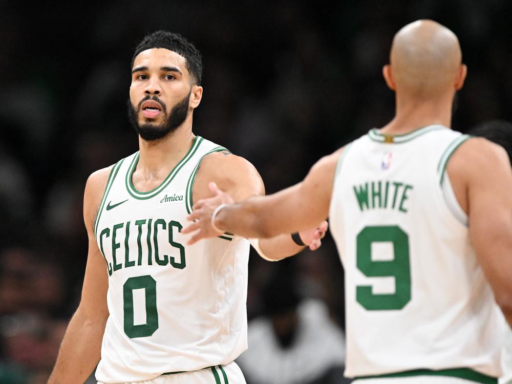 观赛完全可 观赛完全可